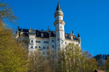Bavyera Kralı II. Ludwig tarafından yaptırılan Neuschwanstein Şatosu görüşleri, Avrupa 'nın en çok ziyaret edilen kalelerinden biridir ve Bavyera' nın Schwangau şehrinde yer almaktadır.