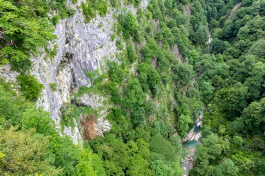 Dikey dik duvarları olan Okatse Kanyonu ve diplerinde Okatse vahşi nehri, Georgia. Bereketli yeşil bitki örtüsü ve ormanlar.
