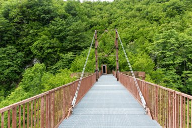 Gürcistan 'daki Okatse Kanyonu' nun üstündeki metal izleme platformu, yemyeşil bitki örtüsü ve ormanlar, insan yok..
