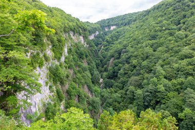 Dikey dik duvarları olan Okatse Kanyonu ve diplerinde Okatse vahşi nehri, Georgia. Bereketli yeşil bitki örtüsü ve ormanlar.