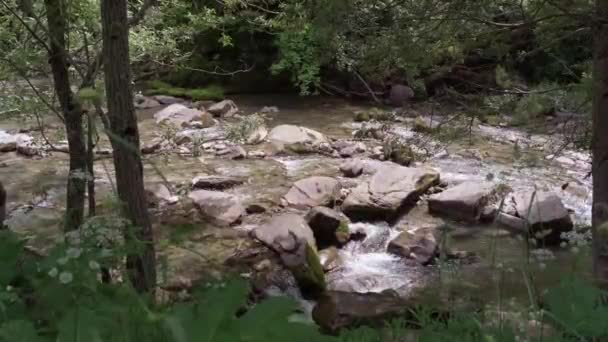 Vue sur une rivière de montagne rapide — Video