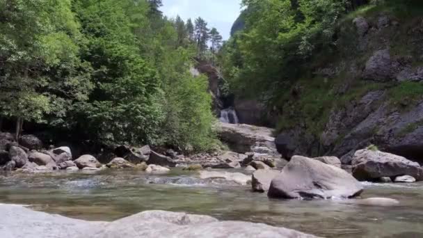 Θέα ενός γρήγορου ορεινού ποταμού — Αρχείο Βίντεο