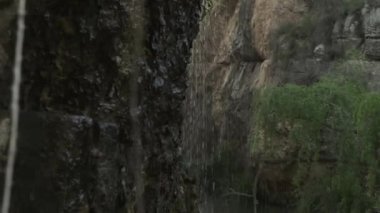 Şelaleden gelen su ağaçtan aşağı akıyor.