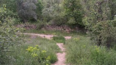 Bir kız yol boyunca yürür