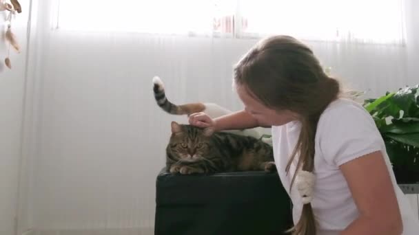 Chica acariciando un rayas gato — Vídeo de stock