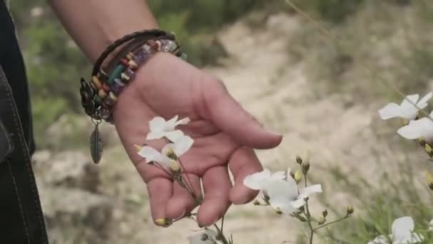 Womans Hand Gently Touches Wildflowers Nature — Stockvideo