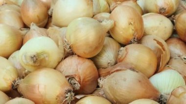 Soğanları bir mağazada ya da bir marketin rafında yakın plan çek