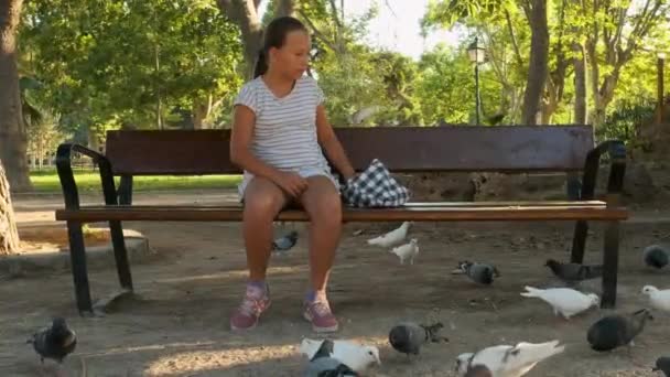 Little Girl Park Bench Feeds Pigeons — Video Stock