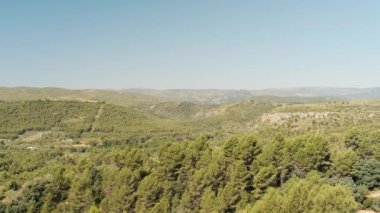 ön plandaki dağ manzarasının panoramik görüntüsü bir sürü yeşil çalılık