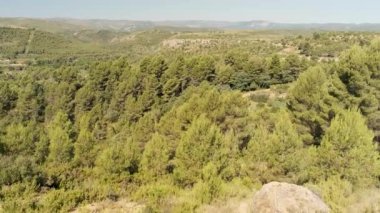 panoramic view of the mountain landscape in the foreground a lot of green shrubs