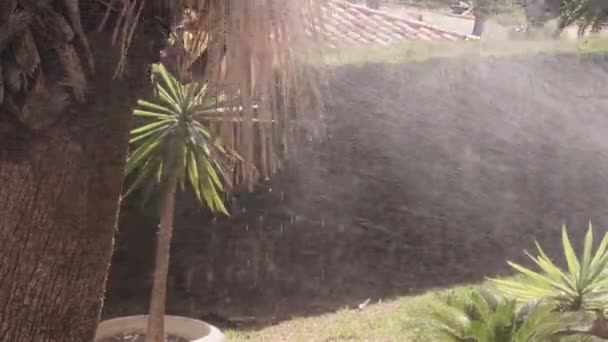 Garden Watering Included Small Splashes Leaves — Vídeo de Stock