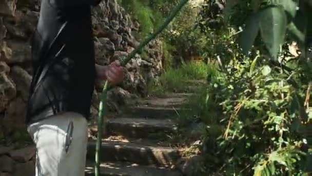 Ένα Αγόρι Από Ένα Σωλήνα Πότισμα Φυτά Στον Κήπο Φροντίζει — Αρχείο Βίντεο