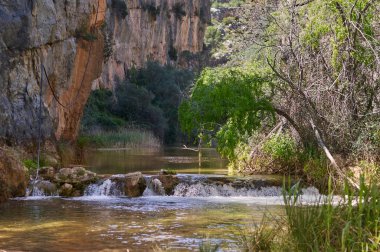 Küçük bir şelalesi olan bir dağ nehri.