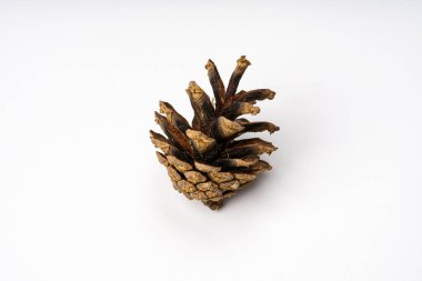 Beyaz arkaplanda koni yakın plan.