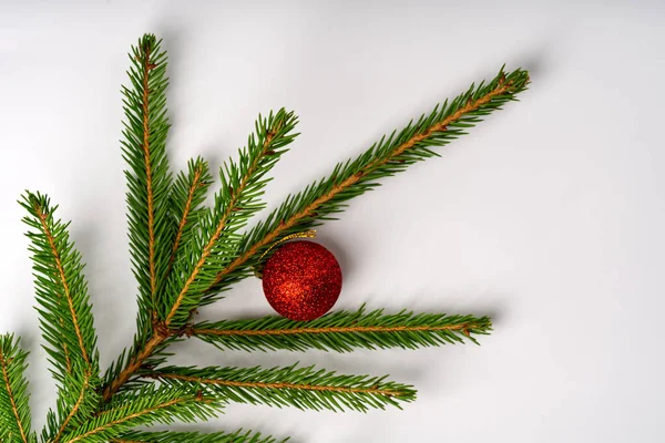 The branche of a Christmas tree a New Years toy lie on a white background. — Stock Photo, Image