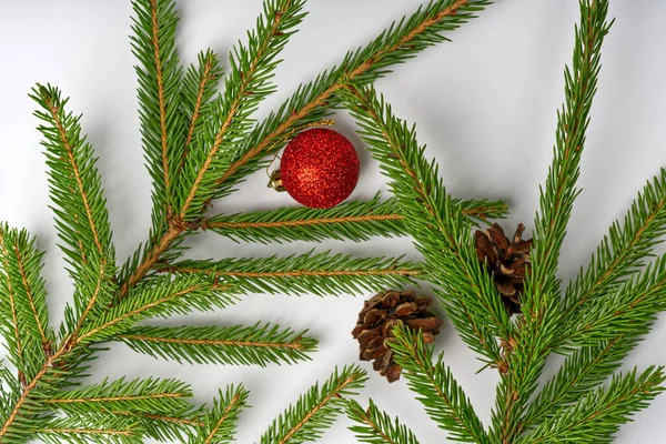 Two branches of a Christmas tree with a New Years toy and cone lie on a white background. — Stock Photo, Image