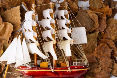 Model tekne zaten kurumuş sonbahar yapraklarının üzerinde yatıyor. Düz.