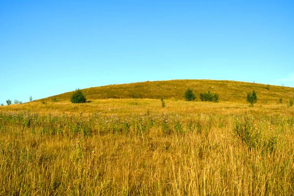 Gräset och berget är gyllene på sensommaren. — Stockfoto