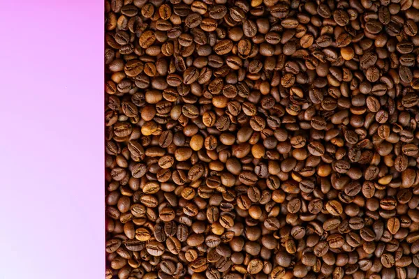 Texture chicco di caffè con area di testo rosa sul lato. — Foto Stock