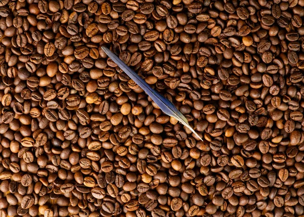 Concetto di caffè e ispirazione. La consistenza dei chicchi di caffè e una piuma al centro. — Foto Stock