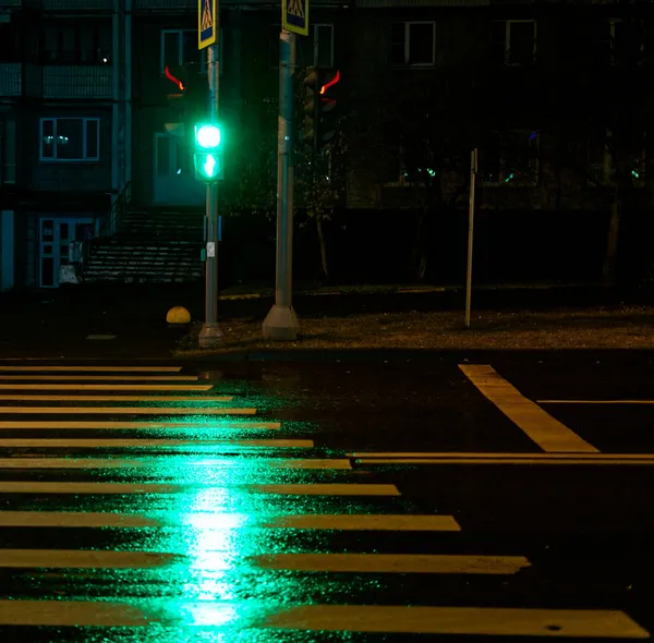 Metrópole noturna à noite. Passagem pedestre e um semáforo verde ardente — Fotografia de Stock