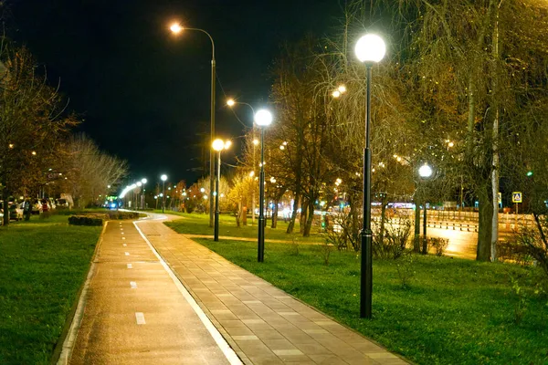 Un parque de verano en las afueras de una gran ciudad con carriles bici y postes de iluminación decorados. Noche. Imagen de stock