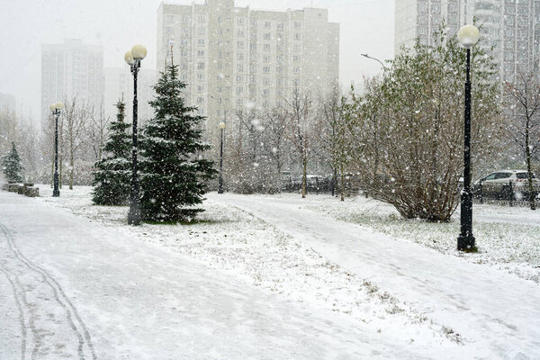 Public park in winter in the city center. Snow is falling. Spruce trees and city lighting poles are visible.