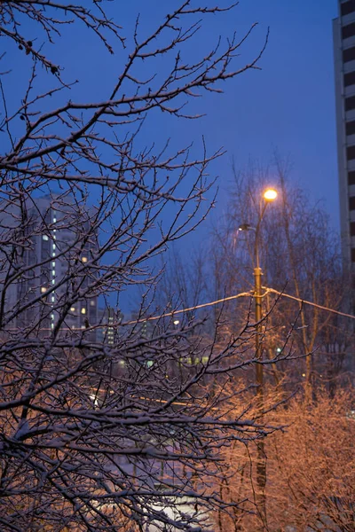 Cidade noturna no inverno. Está nevando e a luz da cidade está brilhando. Tiro vetical — Fotografia de Stock