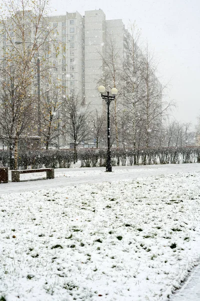 Parque público no inverno. A neve está a cair. Bancos e postes de iluminação são visíveis — Fotografia de Stock