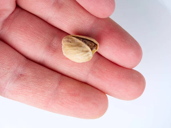 Eine Pistazien in der Hand auf weißem Hintergrund. — Stockfoto