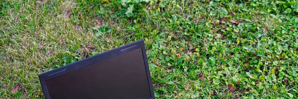 Laptop na zielonej trawie latem. Biuro zewnętrzne i koncepcja pracy zdalnej — Zdjęcie stockowe