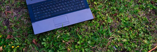 Laptop en la hierba verde en verano. Oficina al aire libre y el concepto de trabajo remoto —  Fotos de Stock