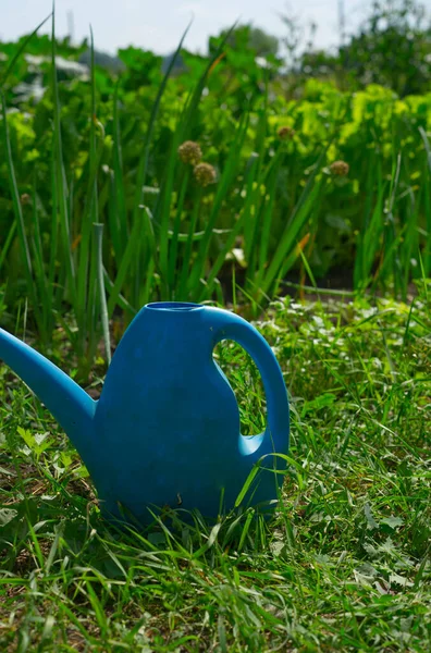 W środku zielonej trawy w lecie stoi duża niebieska puszka do podlewania. Podlewanie ogrodu. Migawka pionowa — Zdjęcie stockowe