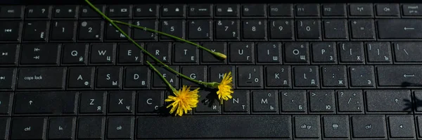 貪欲な世界で優しさと愛の概念 上のキーボードと黄色の花 — ストック写真