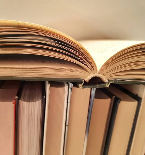 Diversi Libri Con Libro Aperto Istruzione Apprendimento Lettura — Foto Stock
