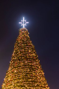 Süslemelerle aydınlatılmış bir Noel ağacı..