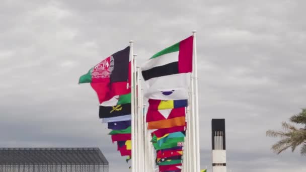 Dubai Uae 2022 Footage Flags Different Countries Entrance Expo 2020 — Stock Video