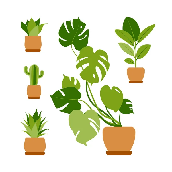 Verzamel huisplanten. Potplanten geïsoleerd op wit. Vector zet groene tropische planten. Trendy huisdecoratie met binnenplanten, plantenbakken, cactussen, tropische bladeren. Vlak. — Stockvector