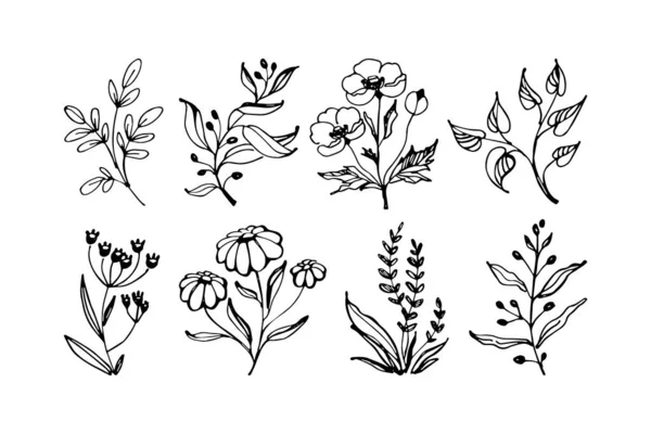 Set of hand drawn floral vector with leaves, flowers and branches. Floral sketch collection. Vector illustration. Flat. — Stockvector