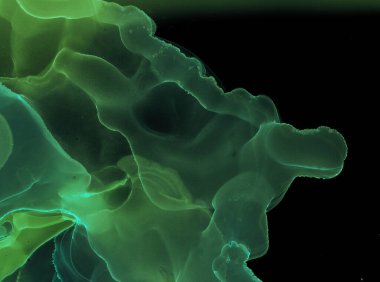 Alkol mürekkebi dokusu. Yağ Efekti Sanat Tasarımı. İpek Havası Sanat Eserleri. Koyu Modern Alkol Mürekkebi dokusu. İzole edilmiş çizgili arkaplan çerçevesi. Gradyan Soyut Desen. Akış Çerçeve Boyası.