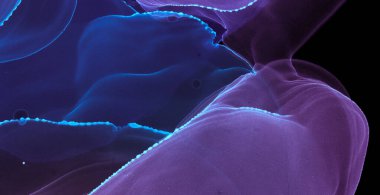 Alkol mürekkebi dokusu. Art Flow Grunge Tasarımı. Deniz Tozu deseni. Koyu Mermer Alkol Mürekkebi dokusu. İnce Grafiksel Sıçrama Arkaplanı. Modern Grunge Sanat. Akış Solmuş Karışımı.