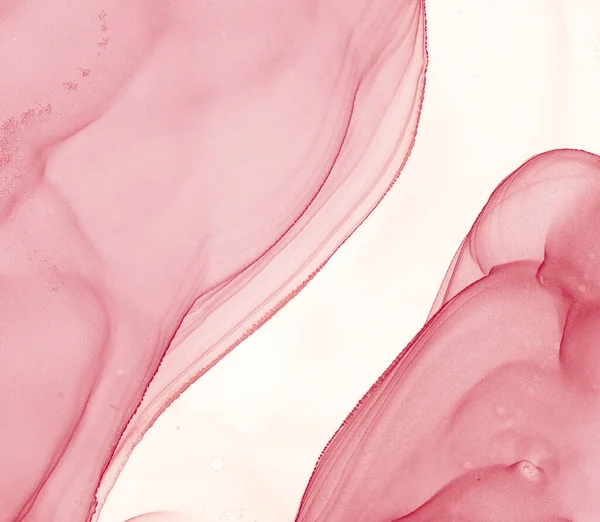 Alcoholic Ink Art Digital Artistic Wall Sea Cloud Canvas Pomegranate — Stock Photo, Image