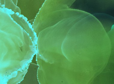 Alcohol Ink Texture. Art Effect Grunge Design. Silk Airy  Canvas. Line Glitter Alcohol Ink Texture. Frame Colour Splatter Wallpaper. Modern Grunge Canvas. Light Frame Paint.