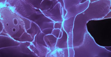 Alkol mürekkebi dokusu. Art Digital Grunge Yazıcı. İpek Havası Sanat Eserleri. Mor Parlak Alkol Mürekkebi dokusu. Uzay Rengi Sıçratan Duvar Kağıdı. Gradyan Şablon. Sıvı Solmuş Deniz.