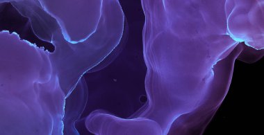 Alkol mürekkebi dokusu. Sanat Dijital Zarif Duvarı. İpek Havası Sanat Eserleri. Gece Parıltısı Alkol Mürekkebi dokusu. Kağıt Kırıntıları Çizimi. Parıltılı Soyut Sanatlar. Hafif Kağıt Karışımı.