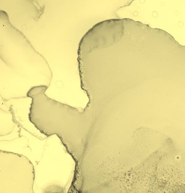 Alkol Mürekkebi. Art Light Zarif Duvar. Karışık fırça deseni. Kum Modern Alkol Mürekkebi. Smoke Colour Moda Arkaplanı. Modern Zarif Doku. Hassas sarı alkol mürekkebi. Karışık Su.