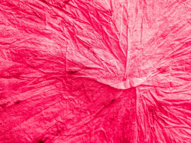 Geleneksel kravat boyası deseni. Kıvrımlı suluboya duvar kağıdı. İpek Yamalı Grafik Sınırı. Arkaplan Geleneksel Kravat Şablonu. Renkli Optik Psikedelik Sanat. Fuxia Boyalı