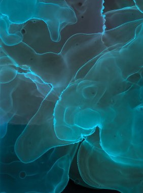 Alkol mürekkebi dokusu. Sanat Sıvısı Sanatsal Yazdırma. İpek Macro Sanat. Etkili Alkol Mürekkep dokusu. Silinmiş Hassas Sıçrama Arkaplanı. Kadim Şablon. Sıvı İnce Deniz Rengi