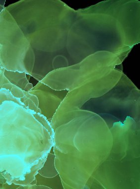 Alkol mürekkebi dokusu. Yağ Akımı Sanatsal Yazıcı. İpek Makro Tuval. Broşür, Modern Alkol Mürekkebi dokusu. İnce izole edilmiş Sıçrama Arkaplanı. Modern Zarif Sanatlar. Sıvı Çerçeve Yıkama.