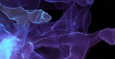 Alkol mürekkebi dokusu. Yağ Sıvısı Grunge Tasarımı. İpek Airy tuvali. Mor mermer alkol mürekkep dokusu. Çerçeve Hassas Sıçrama Arkaplanı. Gradyan Grunge Deseni. El Boşluğu Karışımı.